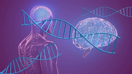 Poster - Animation of dna strands over digital human