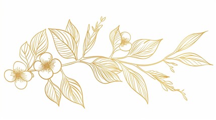 Wall Mural - Golden line art of flowers on white background,wedding invitation cards or greeting cards design.