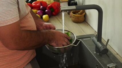 Wall Mural - Man is washing arugula under the tap in the kitchen