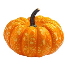 pumpkin on an isolated white background, random pumpkin --v 6.1 job id: ddaf0399-db6c-443c-8f65-c778