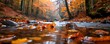 © peppastocker - Leaves floating in an autumn woodland stream