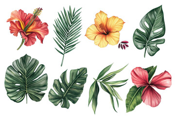 Wall Mural - Colorful tropical leaves and flowers illustration, featuring vibrant hibiscus blooms and lush foliage, perfect for summer and floral designs.