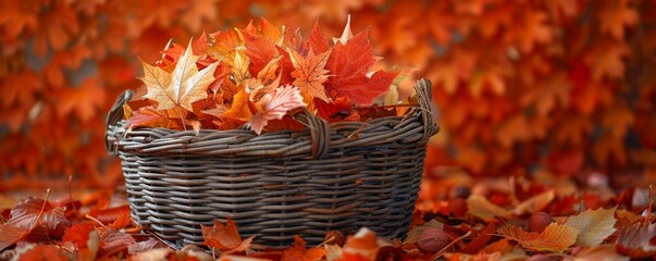 Wall Mural - Autumn leaves in a wicker basket