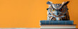 © ds17 - An owl with glasses reads a book on an orange background, copyspace, space for text