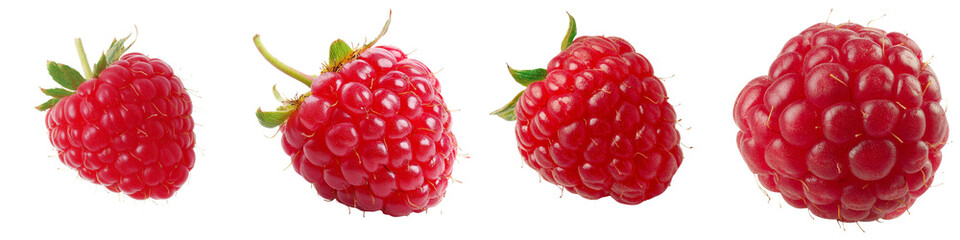 Fresh red raspberries displayed in a row, showcasing their vibrant color and rich texture. Perfect for health and dessert imagery. Isolated on transparent background.