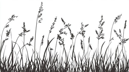 Silhouette of Grass and Wildflowers