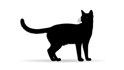 Elegant black cat silhouette illustration