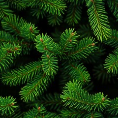 Dense green pine branches forming a natural pattern. Lush foliage seamless background with organic texture.