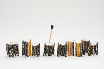 A matchstick is placed in the middle of a row of logs