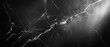 © Somi Danita - Midnight black marble with striking silver veins, creating a powerful and sleek background image