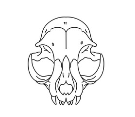 Wall Mural - Vector isolated rabbit skull rodent skull colorless black and white contour line easy drawing