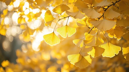 Poster -   Close-up image of a tree with yellow foliage in the foreground against a slightly blurred backdrop of surrounding trees