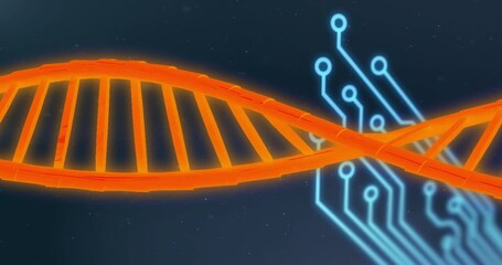 Sticker - Animation of dna stand over data processing and circuit board