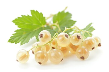 Wall Mural - Fresh white currants arranged on a clean white surface, perfect for food photography or illustration