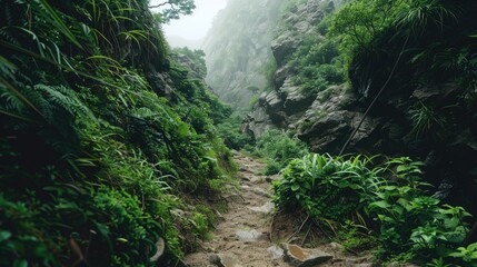 Poster - A winding path surrounded by dense foliage and vibrant greenery