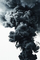 Canvas Print - A dense cloud of smoke in black and white, great for illustrations and abstract designs