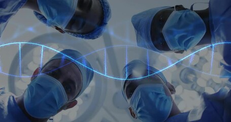 Wall Mural - Animation of dna strand spinning over diverse suergeons