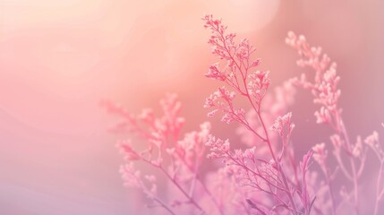 Sticker - Delicate Pink Flowers in Soft Light