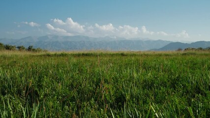 Poster - Summer meadow and mountains view in Kyrgyzstan