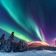 © the world is beautif - 눈이 많이 쌓여있는 북극광은 아름답게 비춰, The Northern Lights shine beautifully with a lot of snow