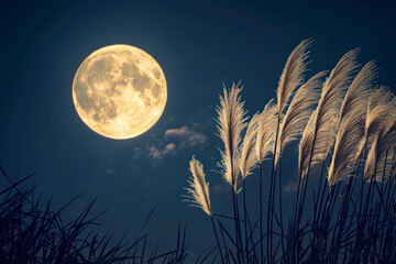 full moon, fireworks and pampas grass in the dark background of the night.