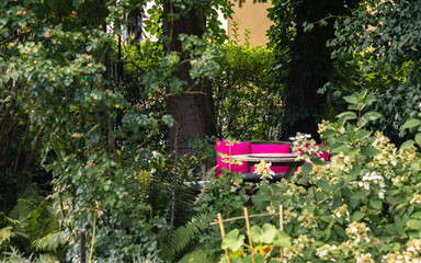 Cozy park bench with pink blanket surrounded by lush green plants, trees, vibrant relaxing spot, outdoor serenity concept