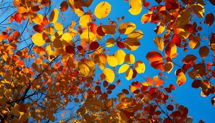 Canvas Print - blue and yellow leaves