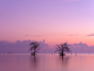 sunrise over the river