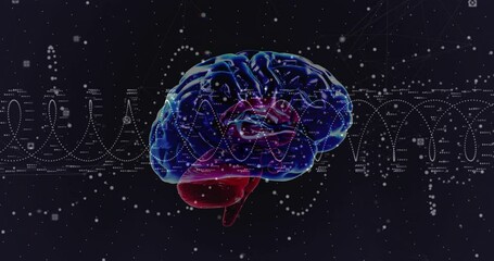 Wall Mural - animation of digital data processing, human brain over dna strand spinning