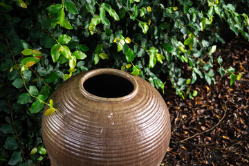 Poster - pot on the grass in garden