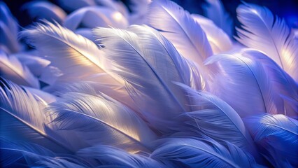 Irradiated by ultraviolet light, delicate white swan feathers glow with an ethereal sheen, revealing intricate textures