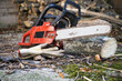 © NetPix - Red chainsaw resting on a log surrounded by work gloves and sawdust