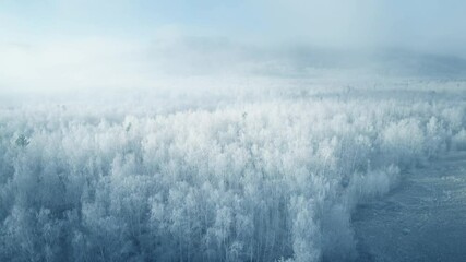 Wall Mural - White frost-covered trees in autumn forest at foggy sunrise. Aerial view. Clouds over the mountains and forest. Autumn landscape
