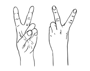 female hands showing peace v sign victory gesture  line drawing vector illustration