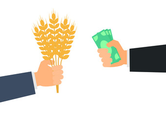 businessman hand with money buy wheat ears harvest vector illustration 