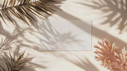 Wall Mural - Palm Leaf Shadow With Blank Cards