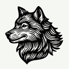 Wall Mural - wolf isolated on white