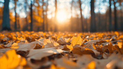 Canvas Print - Soft focus of fallen leaves in autumn hues with bright sun and blurred forest edges 