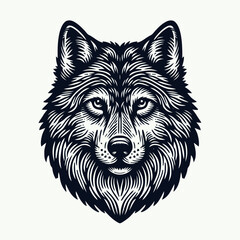 Wall Mural - wolf isolated on white