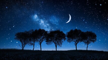 Wall Mural - A serene night sky filled with twinkling stars and a crescent moon, silhouetted trees in a quiet field, dark blue and white color palette, peaceful atmosphere,