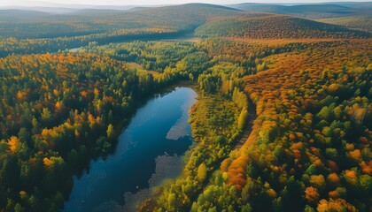 Wall Mural - view of the river