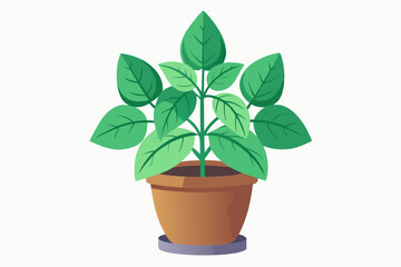 Wall Mural - Monstera plant in pot vector illustration