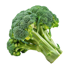 Fresh green broccoli on a transparent background ready for cooking, showcasing its vibrant color and healthy texture ideal for a nutritious meal