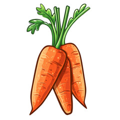 Wall Mural - A cartoon illustration of three carrots with green leaves, isolated on a white background.