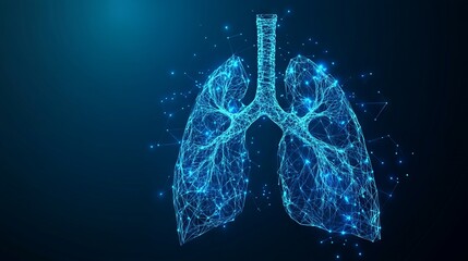 lungs. Low poly blue. Polygonal abstract health illustration. Low Poly Wireframe 3D Vector illustration in blue 