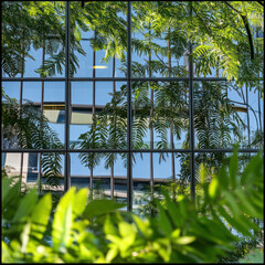 Wall Mural - A closeup of green glass windows on an office building