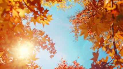 Fall sale promo, autumn trees with colorful leaves, spacious blank area in the center, vibrant colors, clear sky background, soft sunlight, wide shot. 