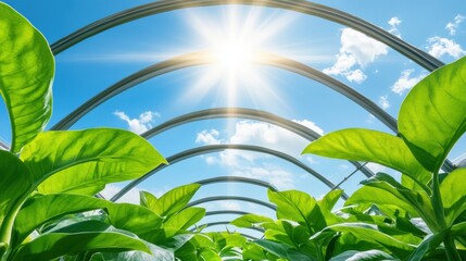 Poster - A view of a greenhouse with plants growing in it, AI