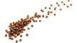 © Hesti - A scattering of brown dry pet food kibble on a white background.