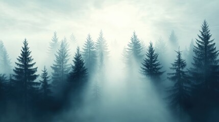 Sticker - A foggy forest with trees and sun beams coming through, AI